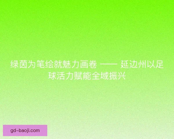 绿茵为笔绘就魅力画卷 —— 延边州以足球活力赋能全域振兴